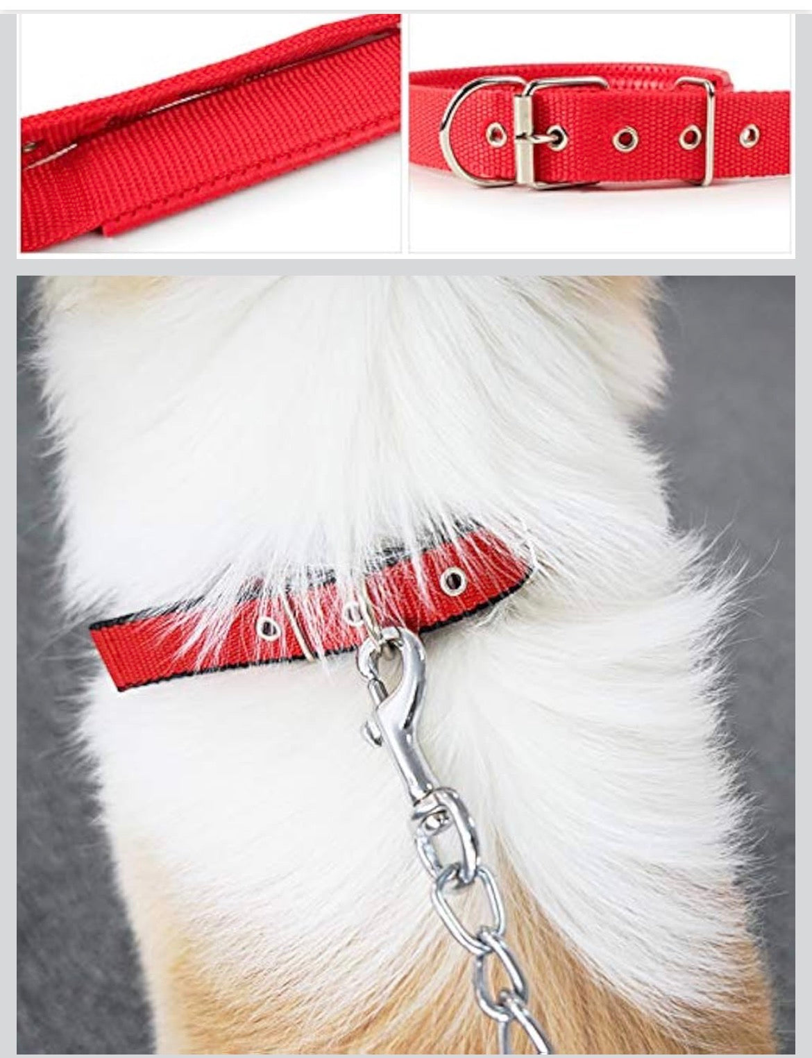 Collier pour Chien Rembourré en Nylon Robuste – Confort & Haute Visibilité