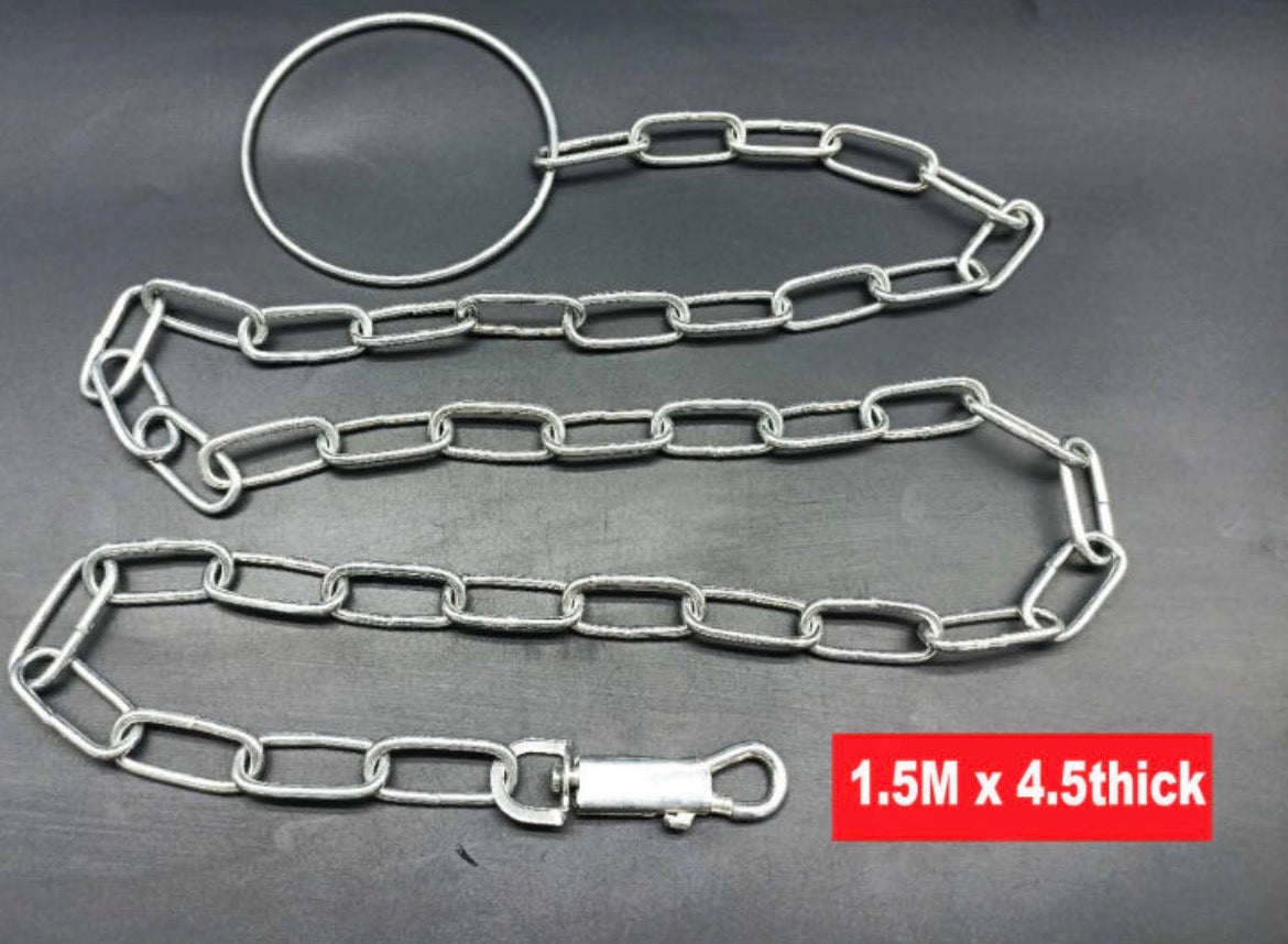 Chaîne d'Attache pour Chien en Acier Chromé - 2 Mètres - Haute Résistance