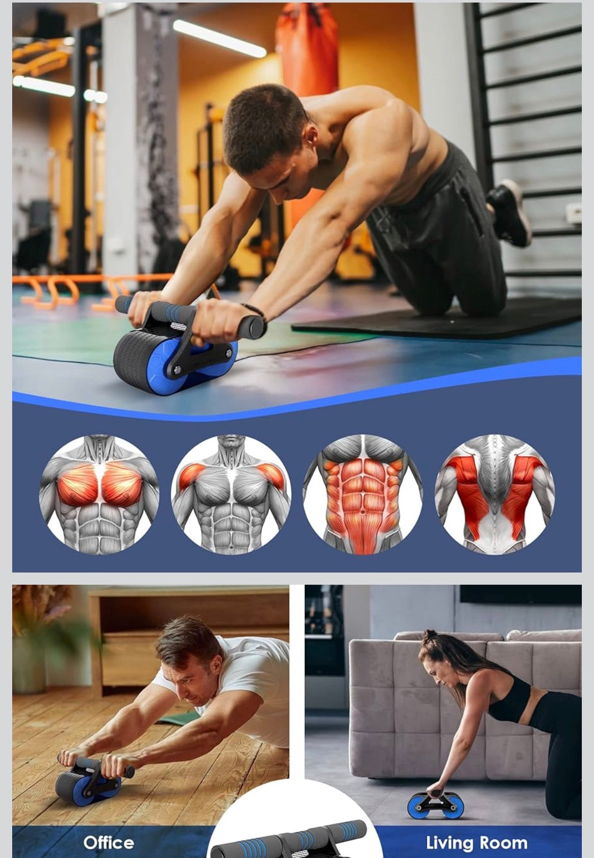 Rouleau Abdominal "Sports Inc" - Ab Wheel Double Roue Fitness