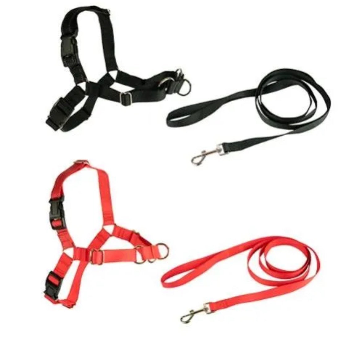 Ensemble Harnais, Laisse et Collier en Nylon Robuste - Réglable et Confortable pour Chiens et Chats