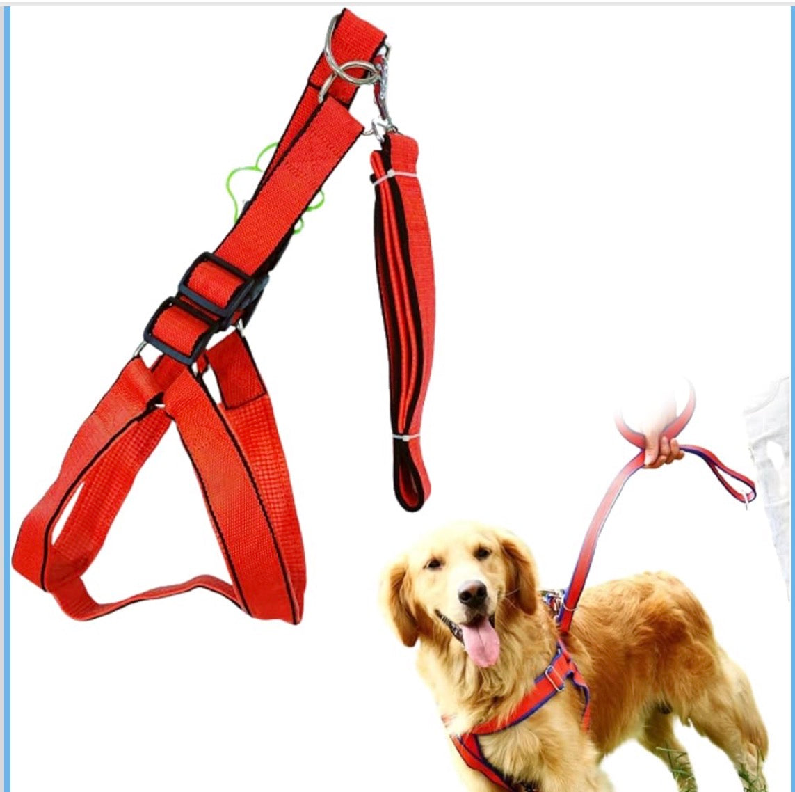 Ensemble Harnais, Laisse et Collier en Nylon Robuste - Réglable et Confortable pour Chiens et Chats