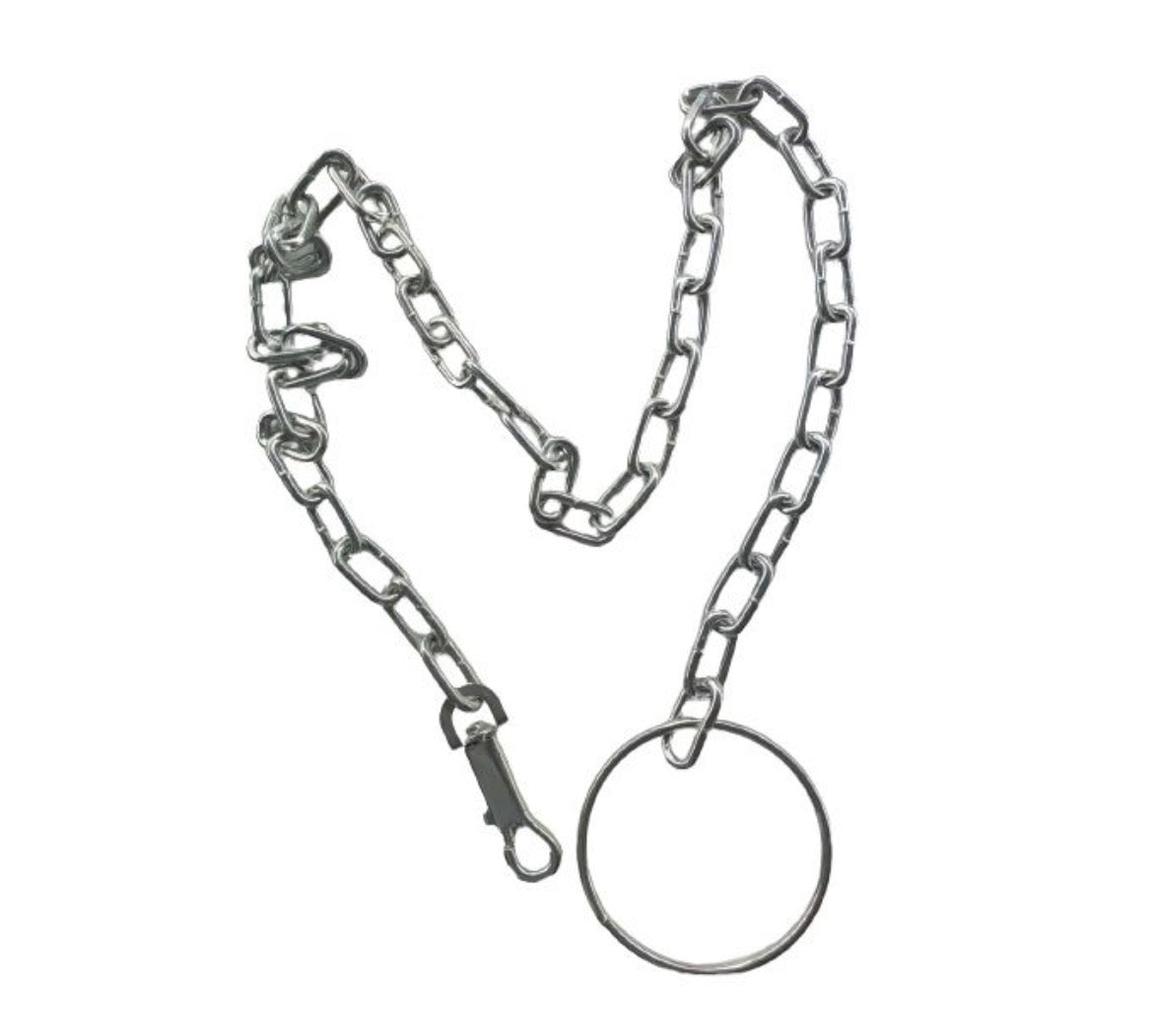 Chaîne d'Attache pour Chien en Acier Chromé - 2 Mètres - Haute Résistance